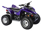 Mini_ATV-50