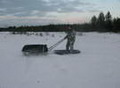 мотобуксировщик рекс